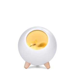 little bird light