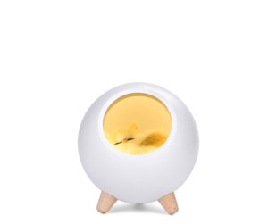 little bird light